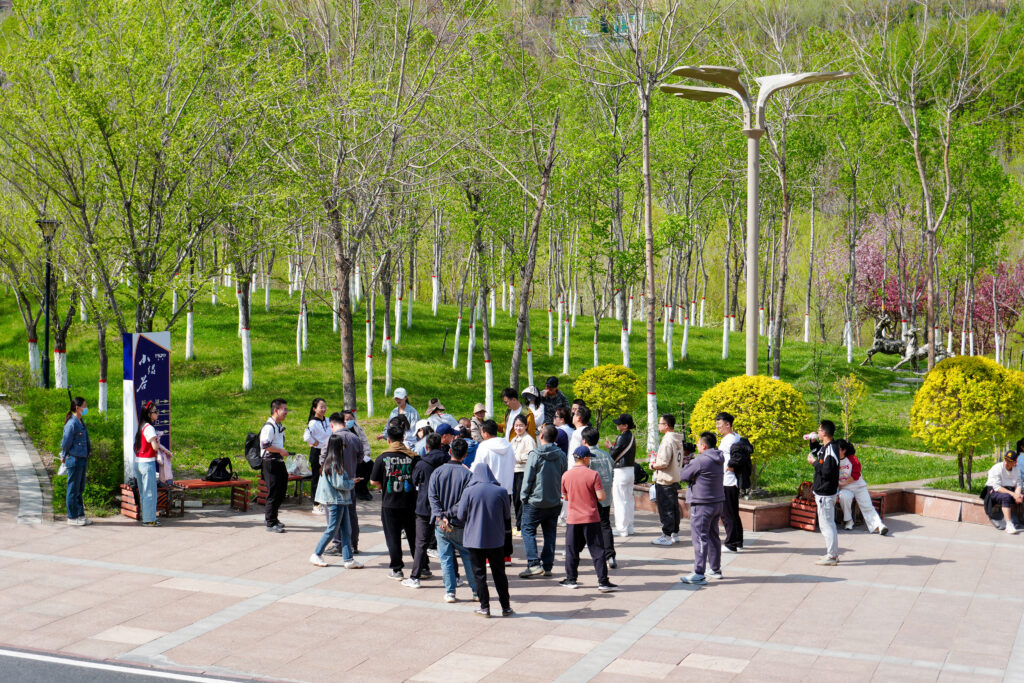 绿径同行·步筑新途 | 太平洋在线物流团队徒步团建之旅