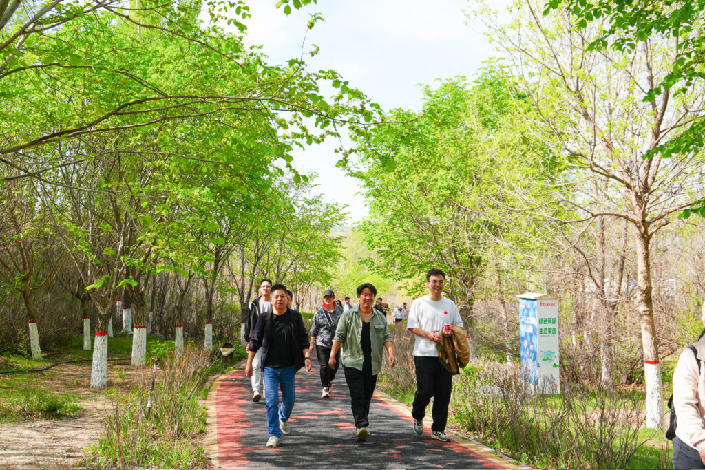 绿径同行·步筑新途 | 太平洋在线物流团队徒步团建之旅