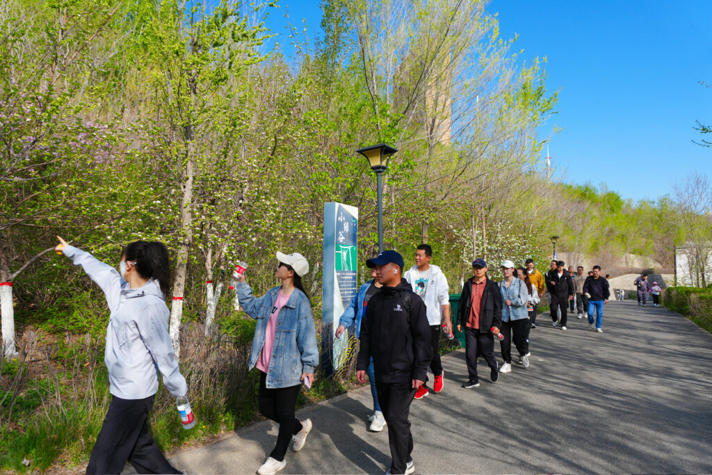 绿径同行·步筑新途 | 太平洋在线物流团队徒步团建之旅